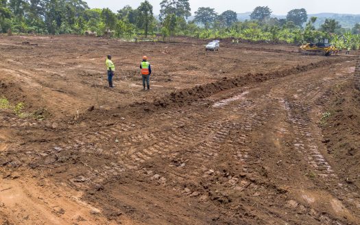 🏡 Saayi (Back View)